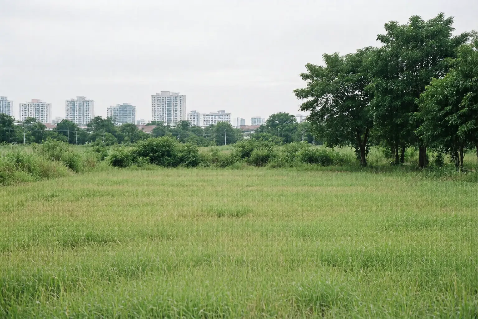 An undeveloped plot of land on the edge of a Thai city