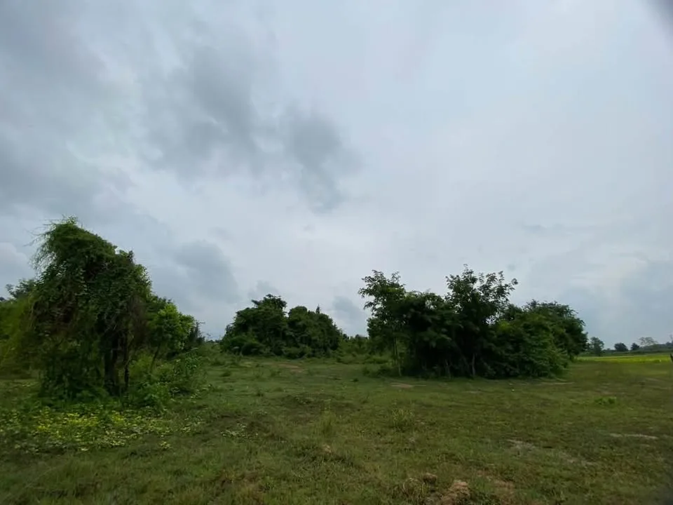 42 Rai Purple-Zoned Industrial Land for Sale, Kabin Buri, Prachin Buri - image 6 of 11