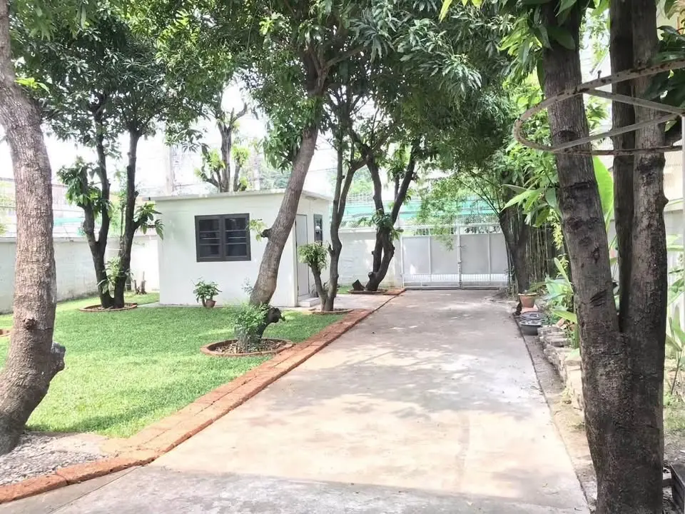Pet-Friendly Detached House for Rent at Soi Phueng Mi 1, Bang Chak, 300 sqm - image 9 of 12