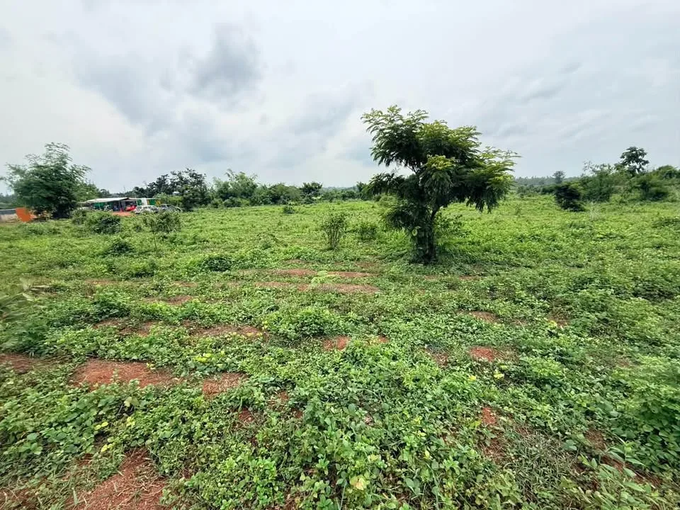 42 Rai Purple-Zoned Industrial Land for Sale, Kabin Buri, Prachin Buri - image 1 of 11
