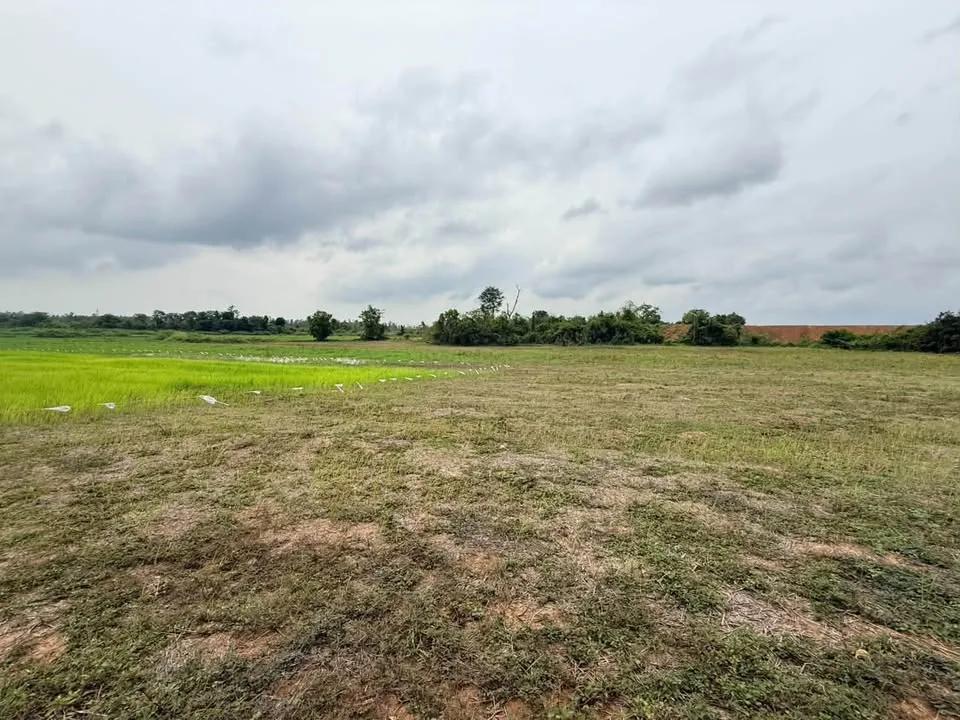 42 Rai Purple-Zoned Industrial Land for Sale, Kabin Buri, Prachin Buri - image 7 of 11