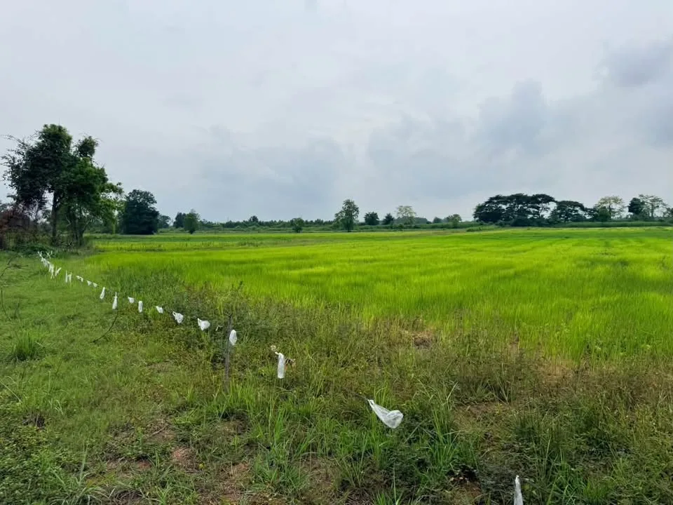 42 Rai Purple-Zoned Industrial Land for Sale, Kabin Buri, Prachin Buri - image 11 of 11